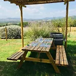 Apartment Casetta Tre Poderi Cactus