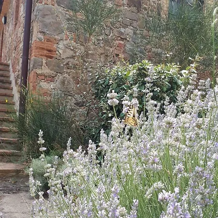 Casetta Tre Poderi Cactus Appartement Monte Cucco
