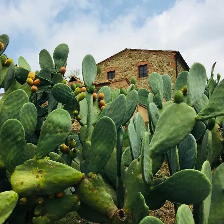 Casetta Tre Poderi Cactus Appartement Monte Cucco